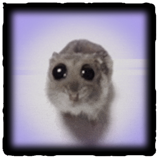 Sad Hamster